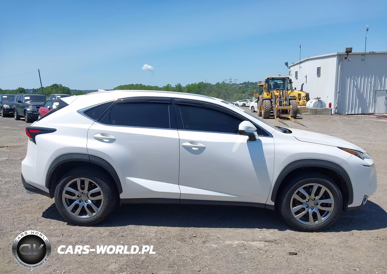 2016 Lexus Nx 200T VIN:JTJBARBZ4G2069971 - 13