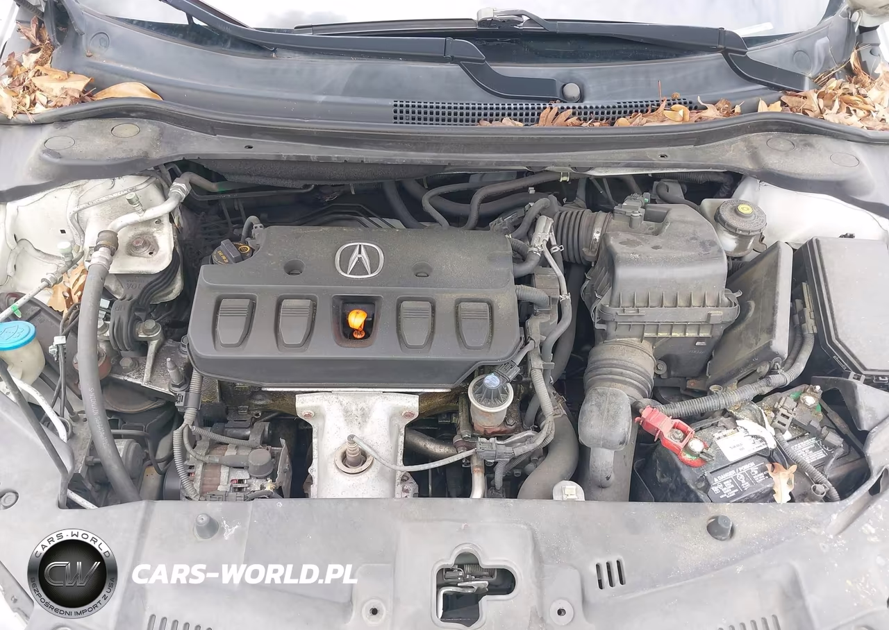 2013 Acura Ilx 2.0L VIN:19VDE1F39DE022174 - 10