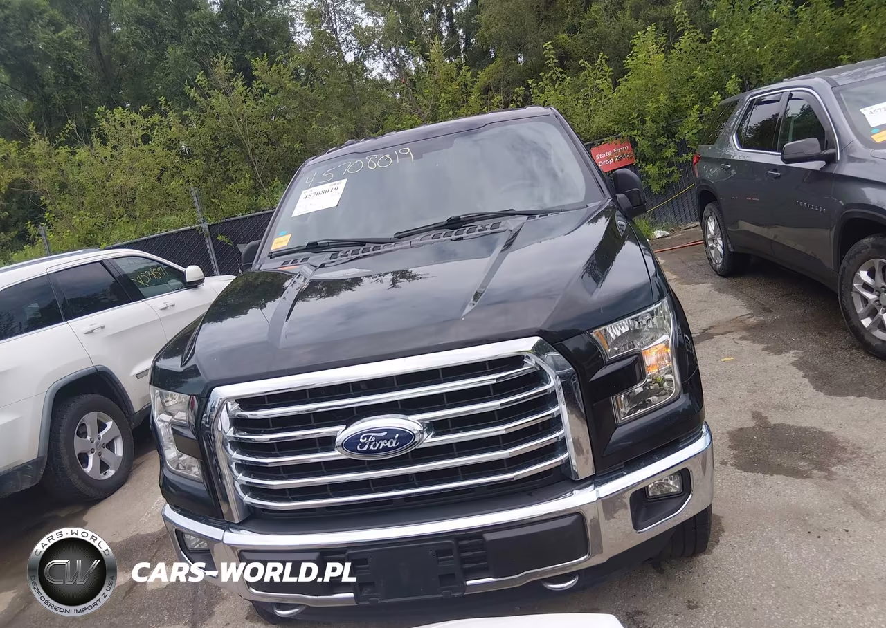 2015 Ford F-150 Xlt VIN:1FTEW1EF1FKD79059 - 12