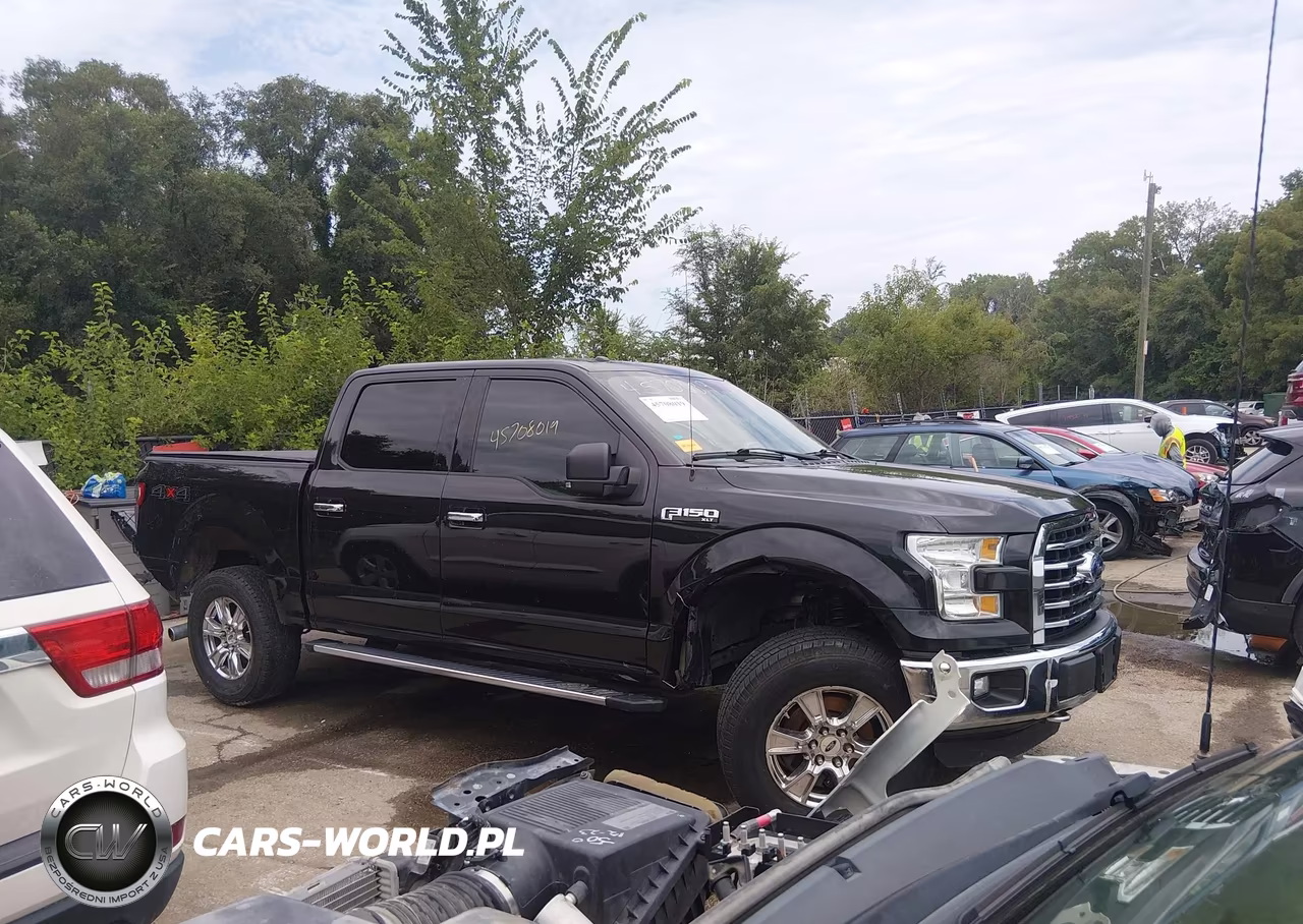 2015 Ford F-150 Xlt VIN:1FTEW1EF1FKD79059 - 13