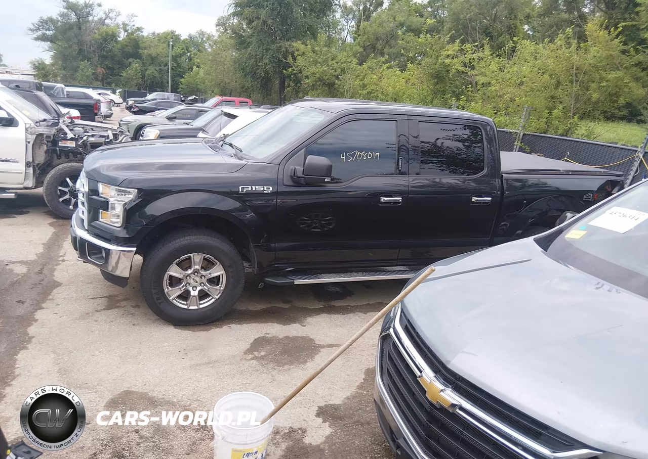 2015 Ford F-150 Xlt VIN:1FTEW1EF1FKD79059 - 14