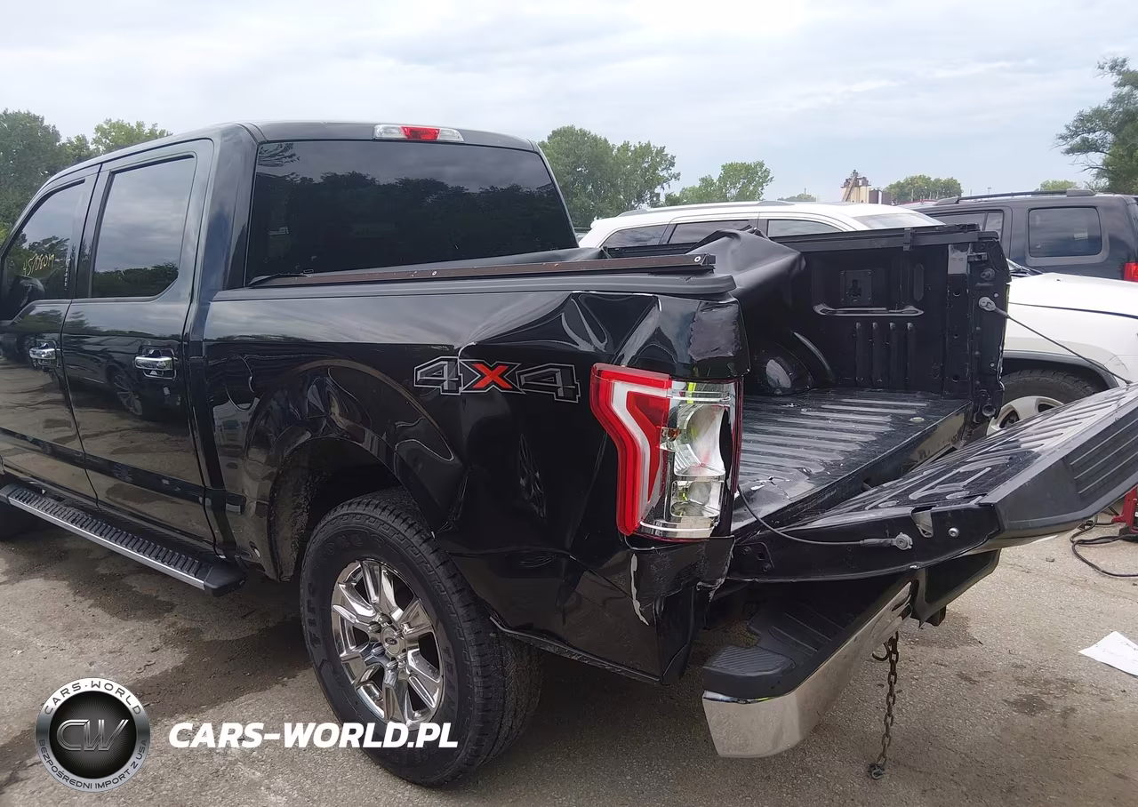 2015 Ford F-150 Xlt VIN:1FTEW1EF1FKD79059 - 18