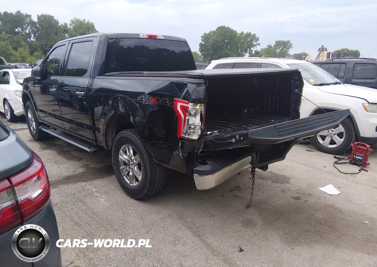 2015 Ford F-150 Xlt VIN:1FTEW1EF1FKD79059 - 3