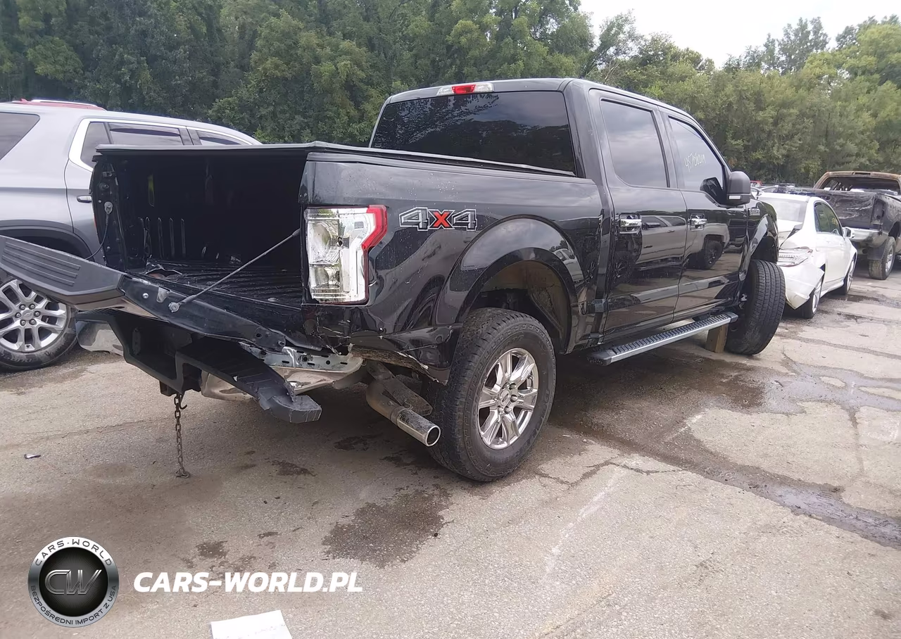 2015 Ford F-150 Xlt VIN:1FTEW1EF1FKD79059 - 4