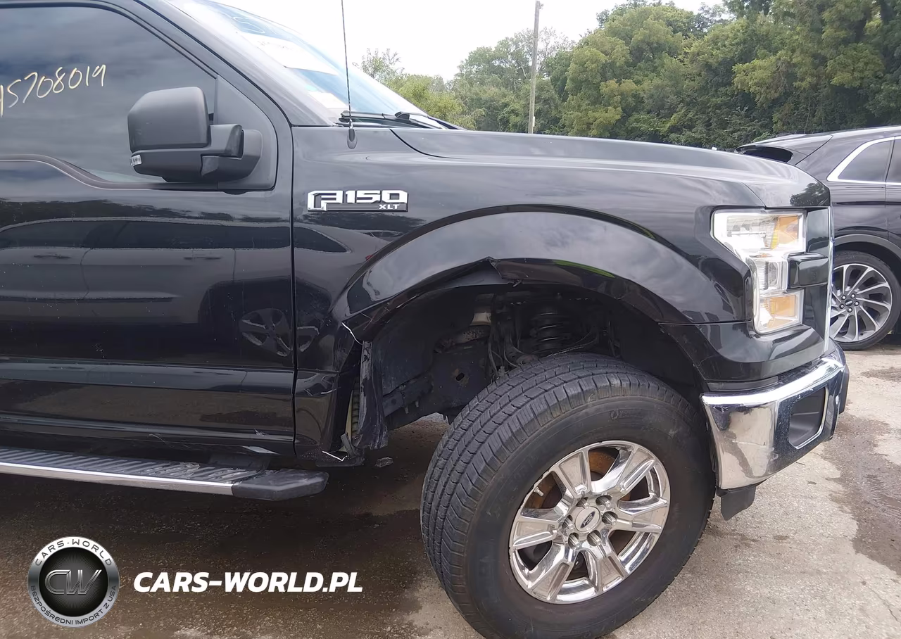 2015 Ford F-150 Xlt VIN:1FTEW1EF1FKD79059 - 6