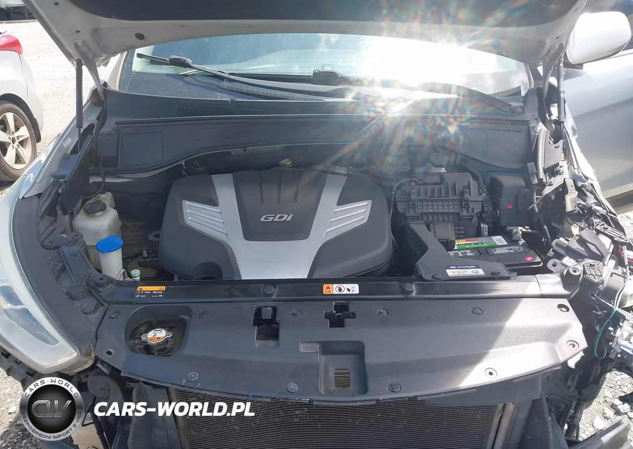2016 Hyundai Santa Fe Se VIN:KM8SM4HF2GU162160 - 10