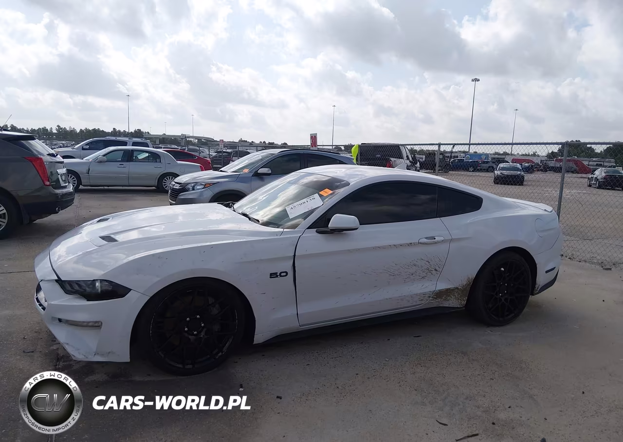 2021 Ford Mustang Gt Fastback-Gt Premium Fastback VIN:1FA6P8CF2M5113788 - 14