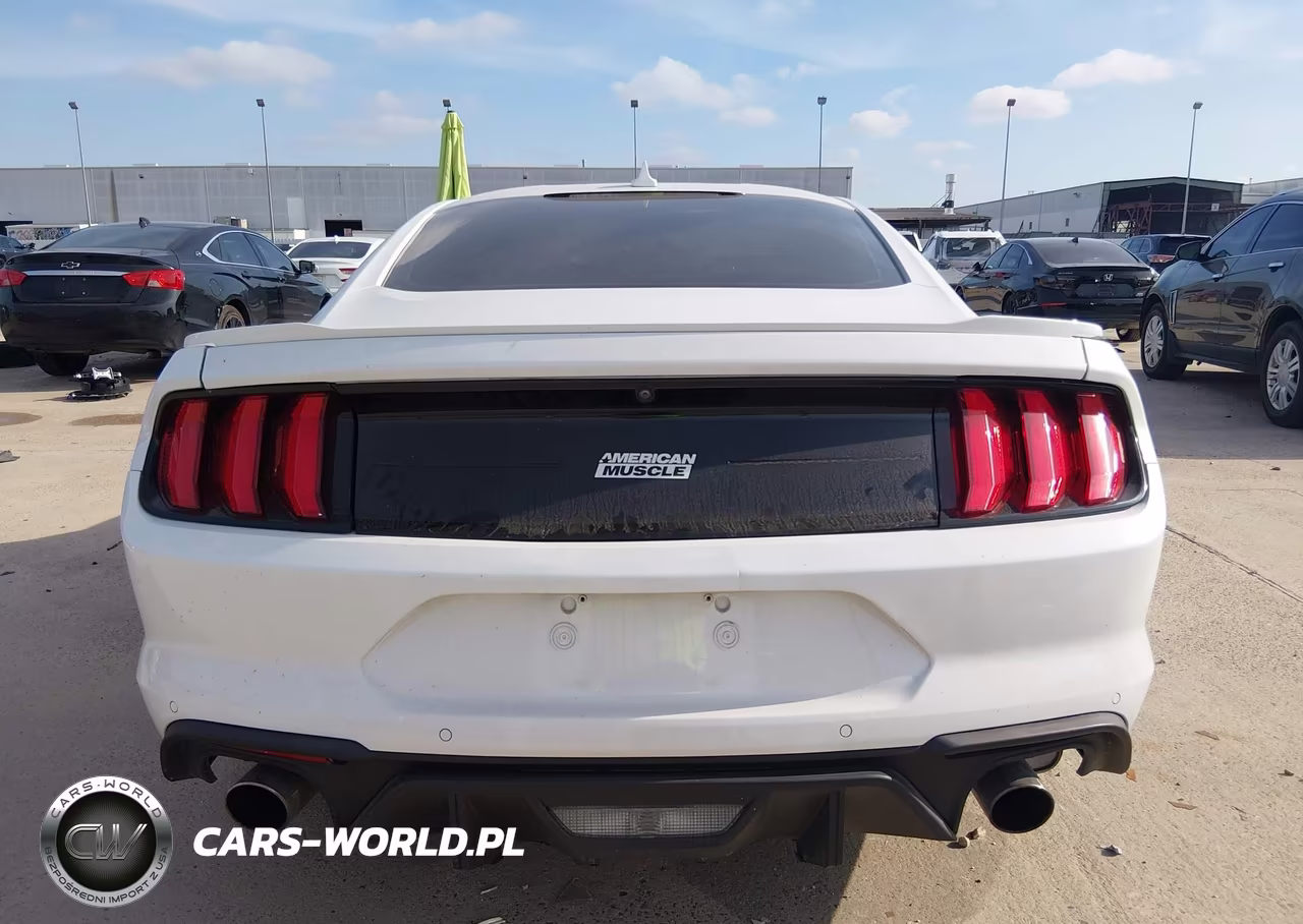 2021 Ford Mustang Gt Fastback-Gt Premium Fastback VIN:1FA6P8CF2M5113788 - 16