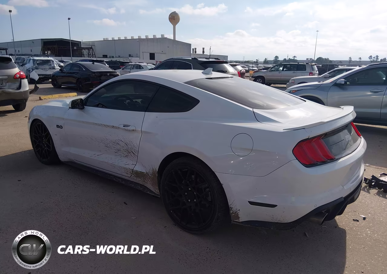 2021 Ford Mustang Gt Fastback-Gt Premium Fastback VIN:1FA6P8CF2M5113788 - 3
