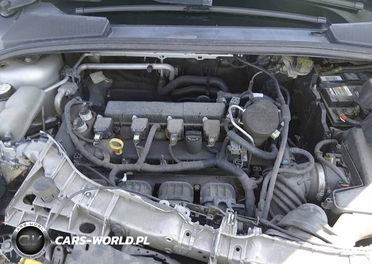 2015 Ford Focus Se VIN:1FADP3F28FL329792 - 10