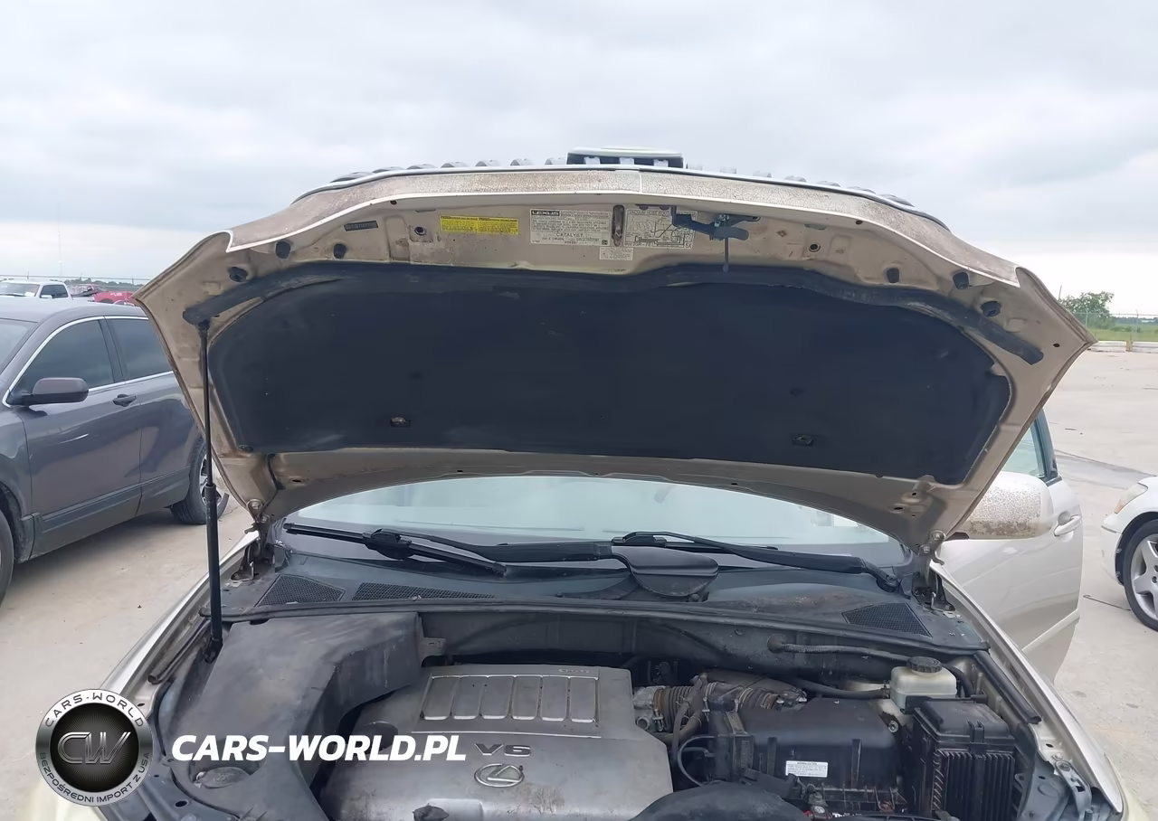 2007 Lexus Rx 350 VIN:2T2GK31UX7C014897 - 10