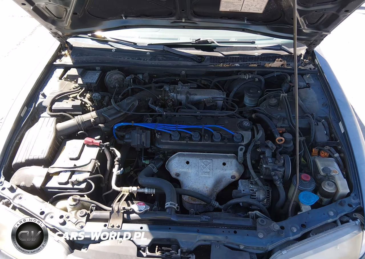 1996 Honda Accord Ex-Ex-R VIN:1HGCD5653TA248194 - 10