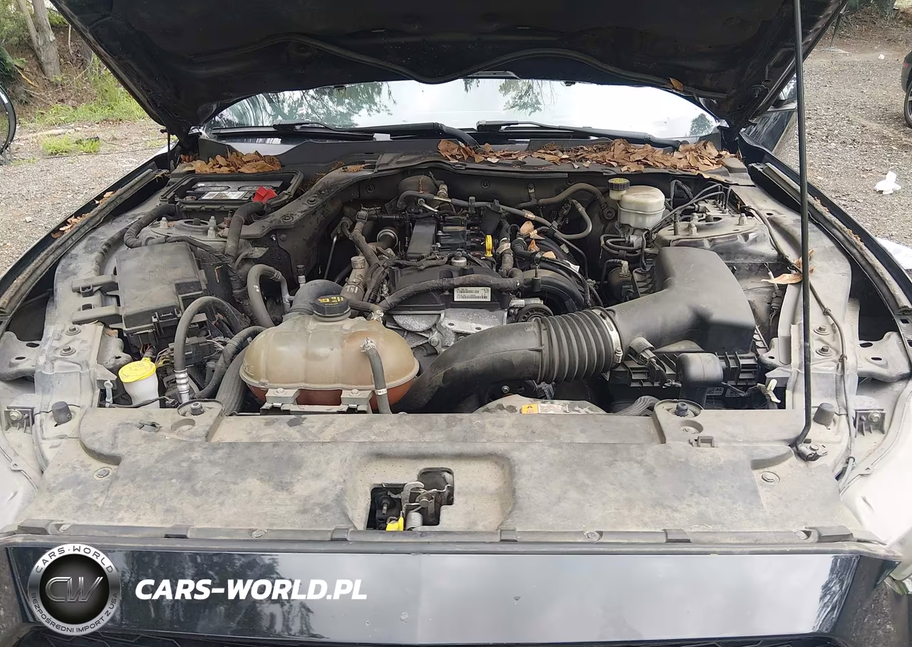 2015 Ford Mustang Ecoboost VIN:1FA6P8TH2F5349524 - 10