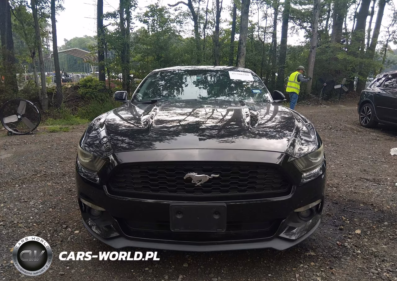 2015 Ford Mustang Ecoboost VIN:1FA6P8TH2F5349524 - 11