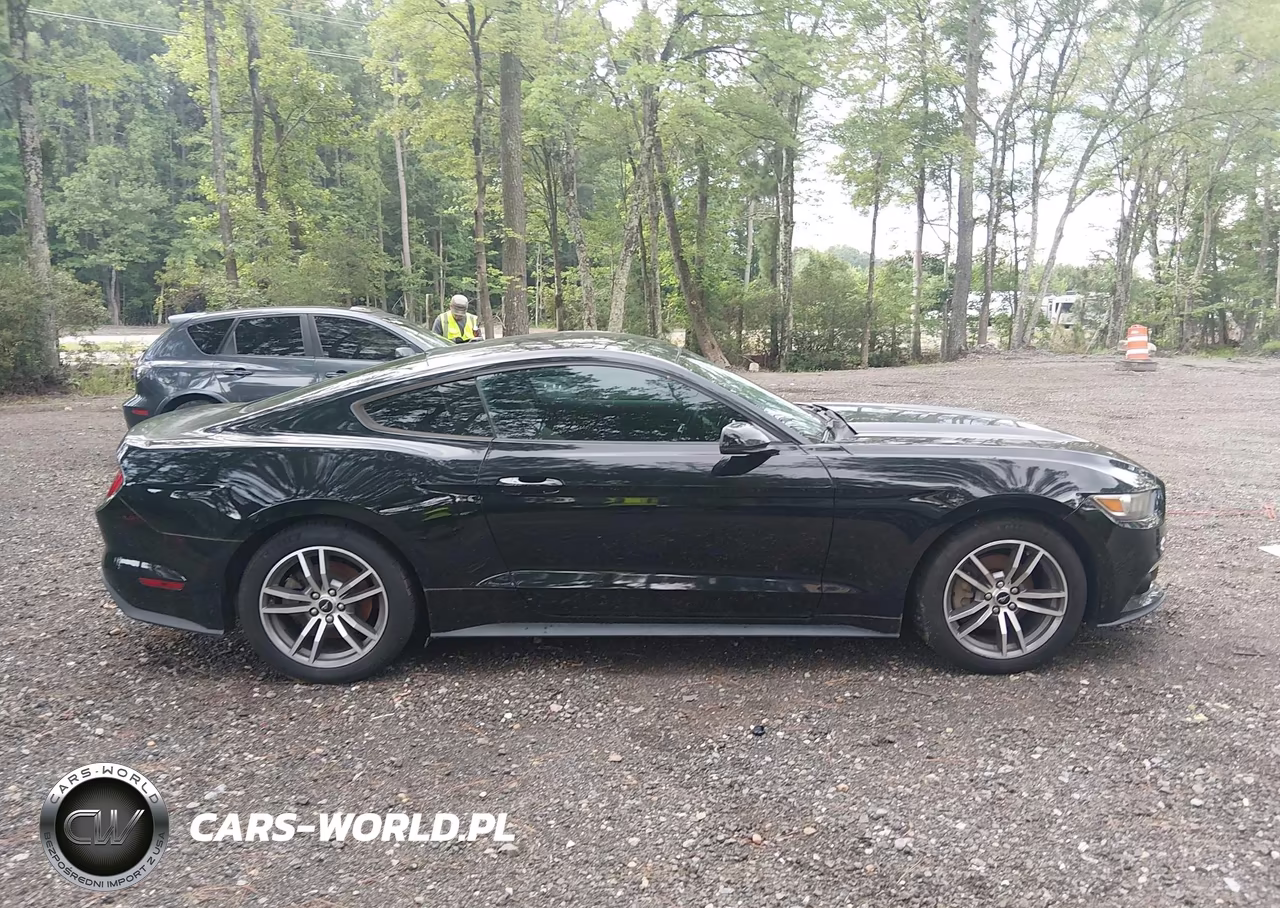 2015 Ford Mustang Ecoboost VIN:1FA6P8TH2F5349524 - 12