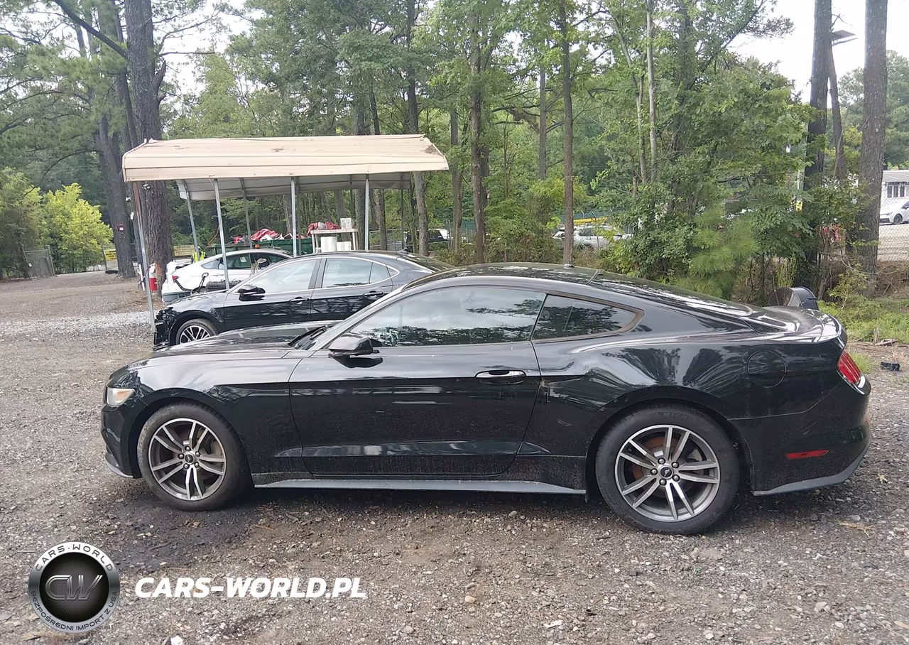 2015 Ford Mustang Ecoboost VIN:1FA6P8TH2F5349524 - 13