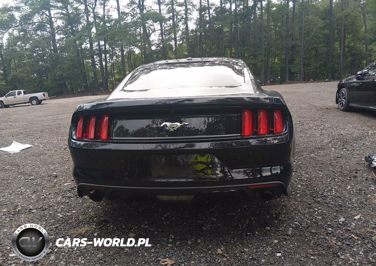 2015 Ford Mustang Ecoboost VIN:1FA6P8TH2F5349524 - 15