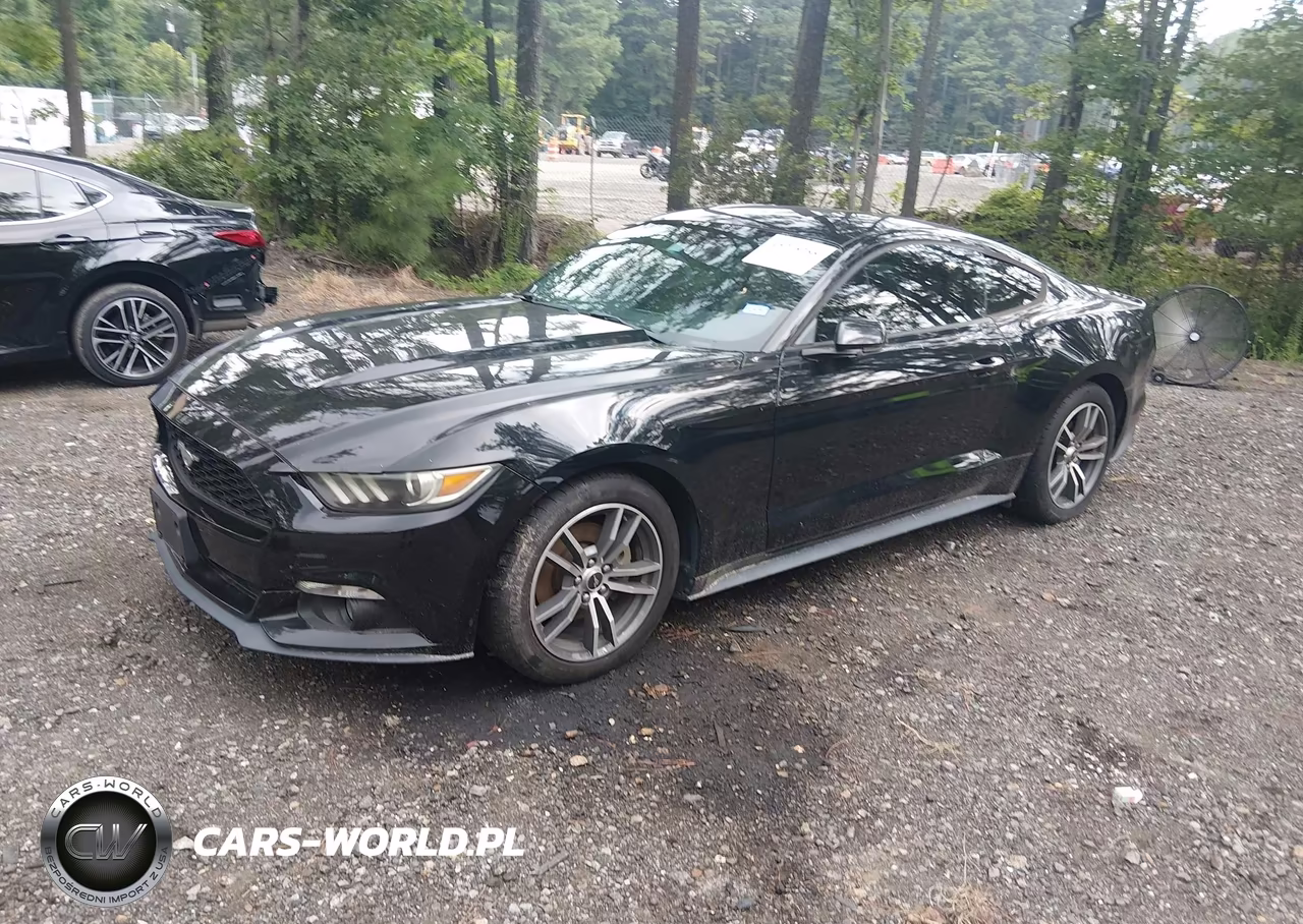 2015 Ford Mustang Ecoboost VIN:1FA6P8TH2F5349524 - 2