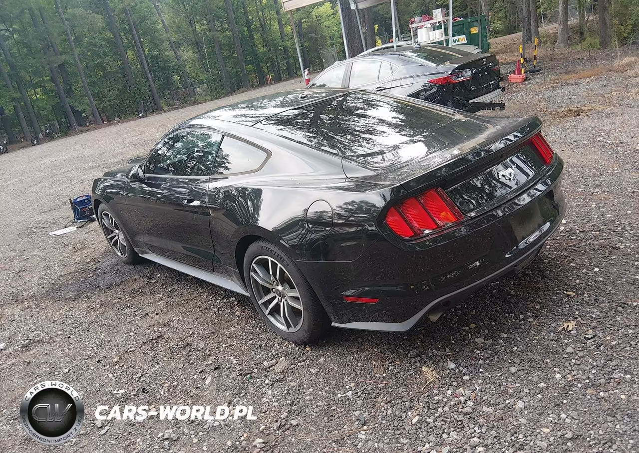2015 Ford Mustang Ecoboost VIN:1FA6P8TH2F5349524 - 3