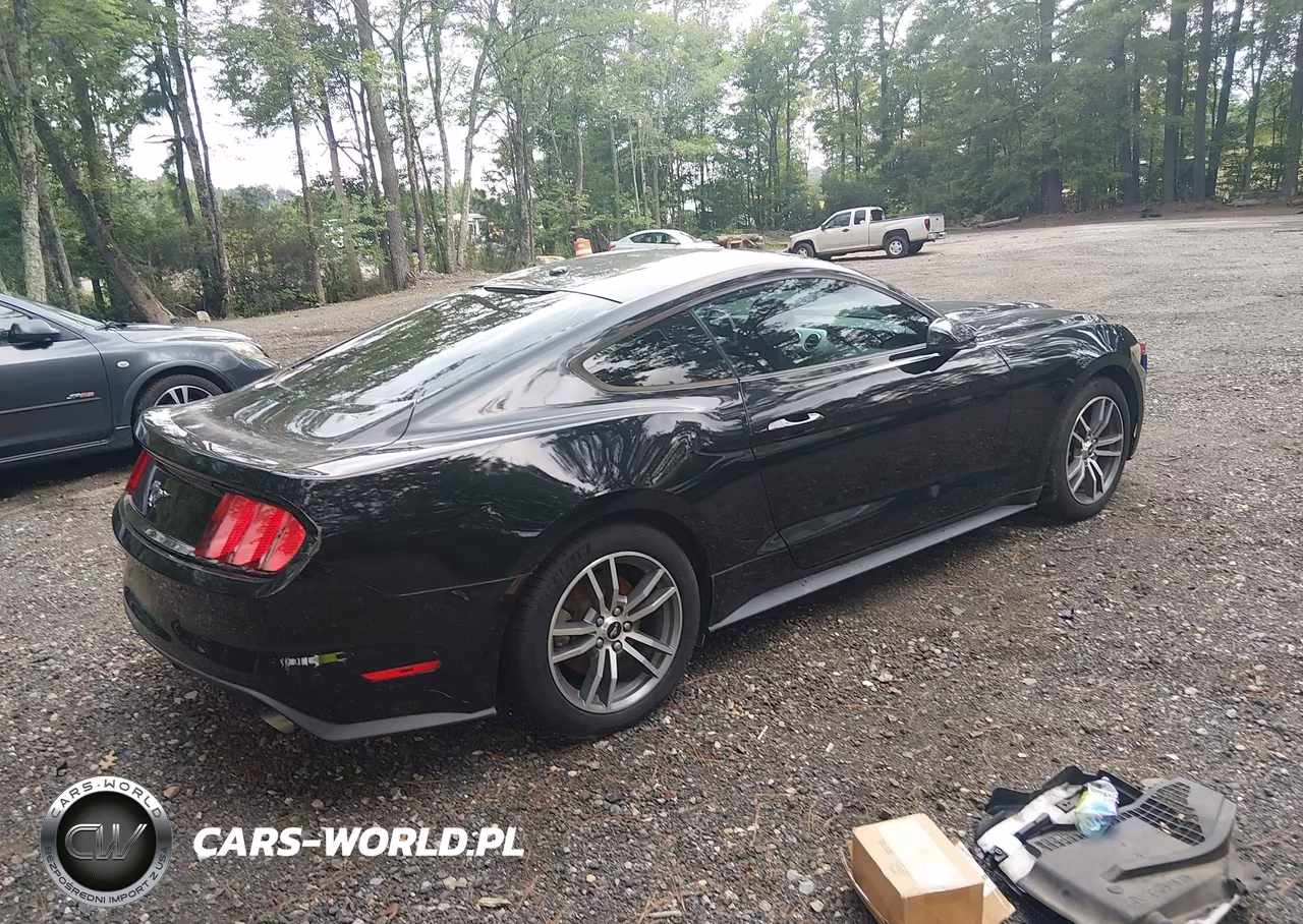 2015 Ford Mustang Ecoboost VIN:1FA6P8TH2F5349524 - 4