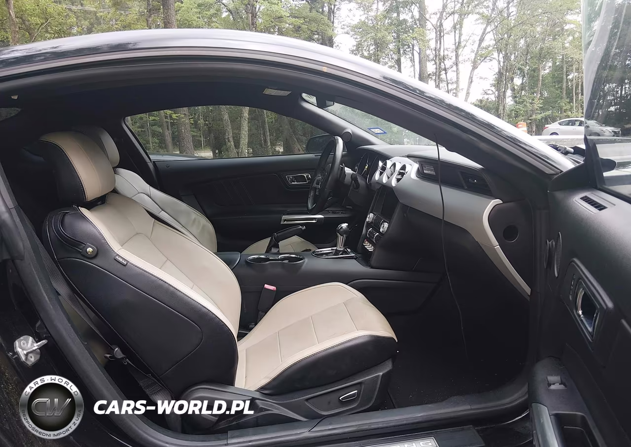 2015 Ford Mustang Ecoboost VIN:1FA6P8TH2F5349524 - 5