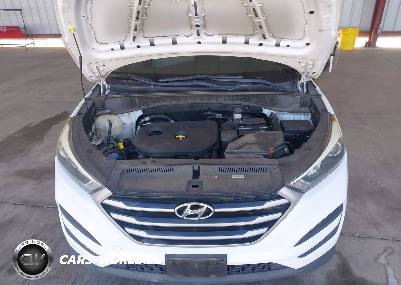 2018 Hyundai Tucson Se VIN:KM8J23A46JU813303 - 10
