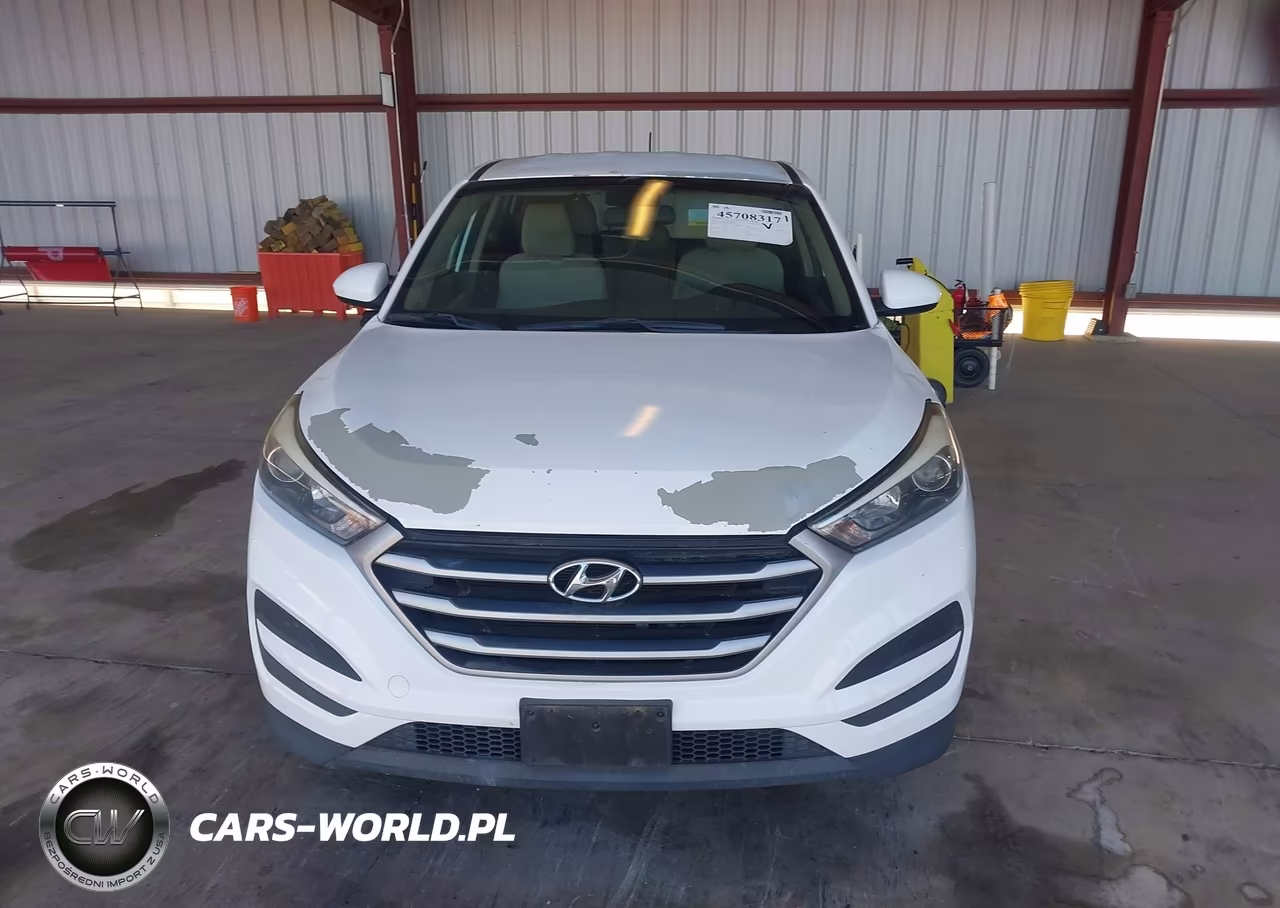 2018 Hyundai Tucson Se VIN:KM8J23A46JU813303 - 12