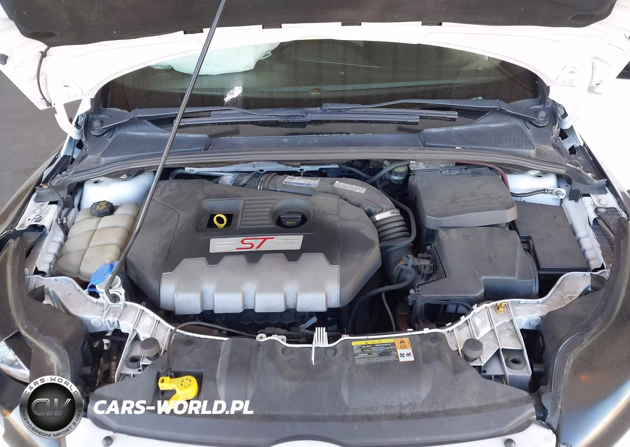 2014 Ford Focus St VIN:1FADP3L93EL238123 - 10