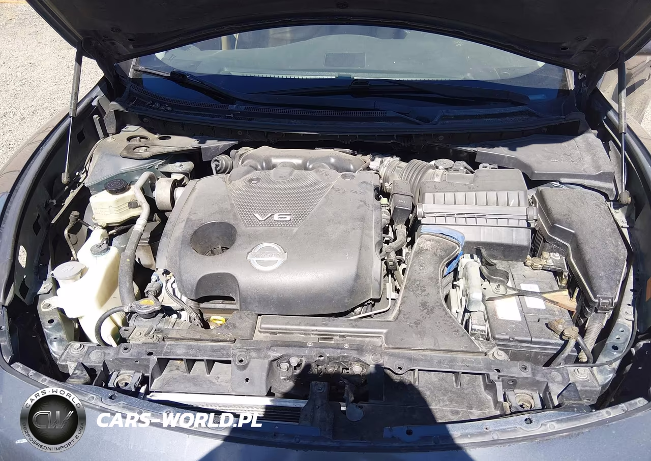 2009 Nissan Maxima 3.5 Sv VIN:1N4AA51E19C825555 - 10