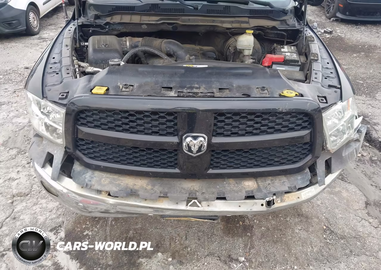 2015 Ram 1500 Outdoorsman VIN:1C6RR7LTXFS625800 - 10