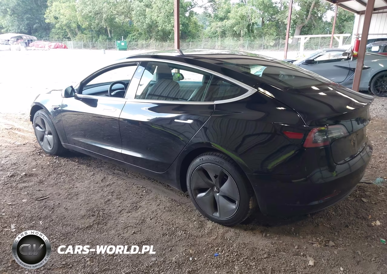 2019 Tesla Model 3 Long Range-Mid Range-Standard Range-Standard Range Plus VIN:5YJ3E1EA0KF484391 - 3