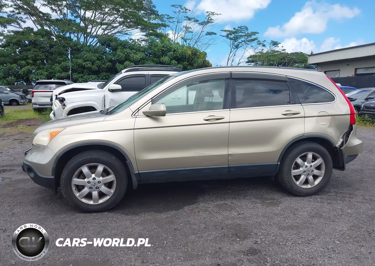 2008 Honda Cr-V Ex-L VIN:JHLRE48758C027273 - 14