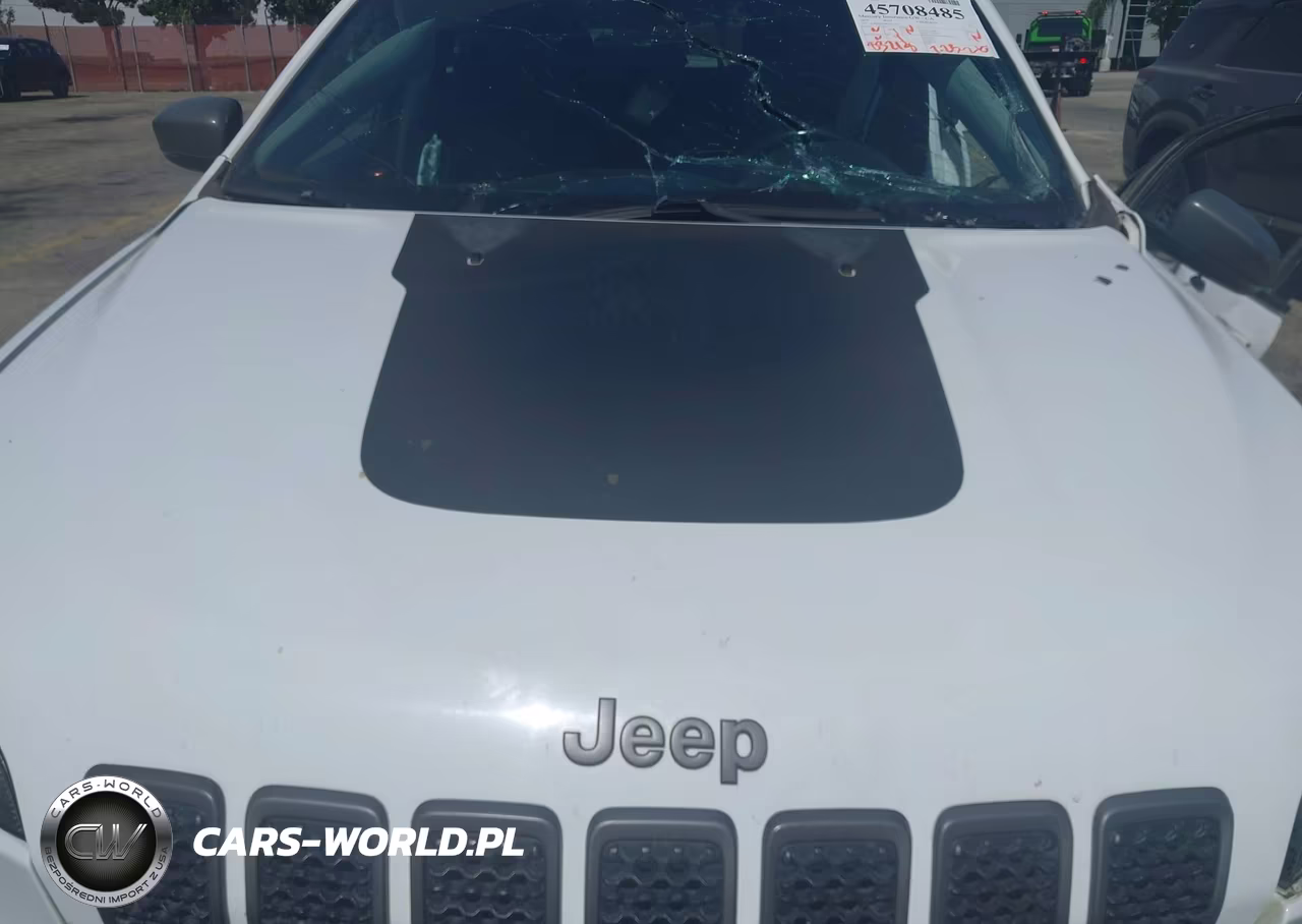2019 Jeep Cherokee Trailhawk Elite 4X4 VIN:1C4PJMBX4KD311259 - 10