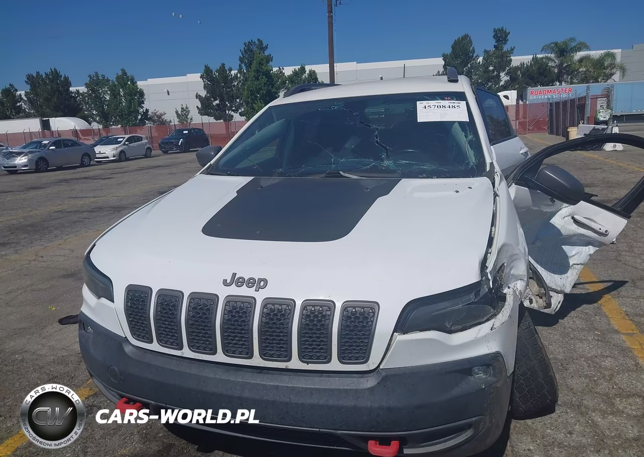 2019 Jeep Cherokee Trailhawk Elite 4X4 VIN:1C4PJMBX4KD311259 - 12
