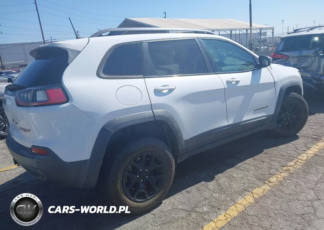 2019 Jeep Cherokee Trailhawk Elite 4X4 VIN:1C4PJMBX4KD311259 - 4