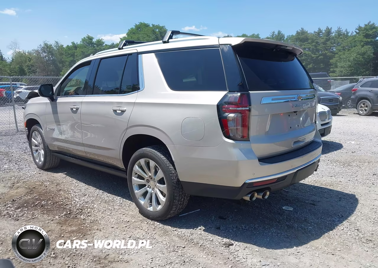 2023 Chevrolet Tahoe 4Wd Premier VIN:1GNSKSKD4PR246514 - 3