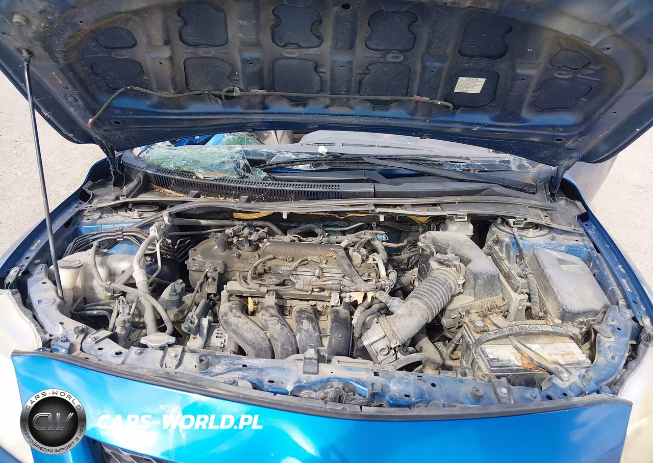 2009 Toyota Corolla Xle VIN:JTDBL40E299059899 - 10