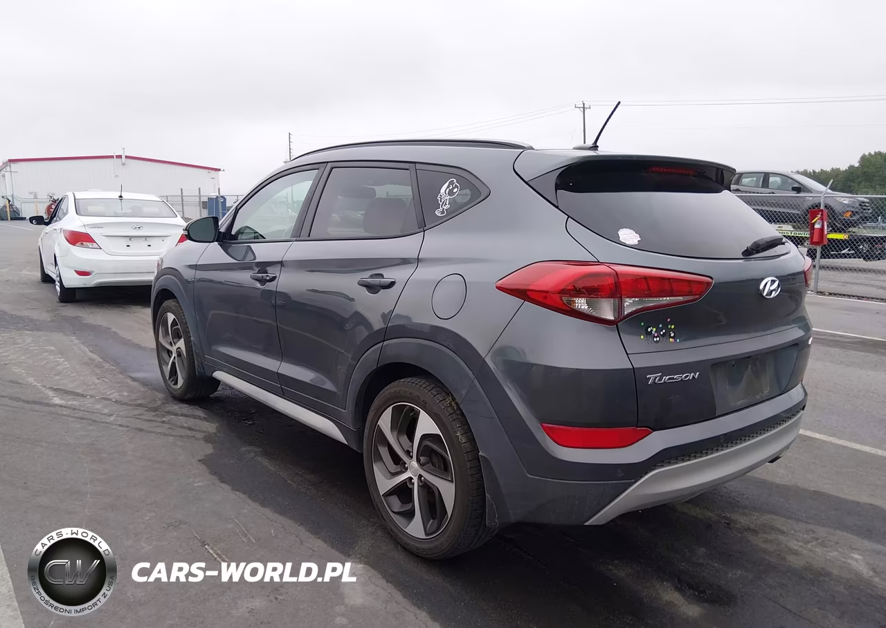 2017 Hyundai Tucson Value VIN:KM8J3CA2XHU554837 - 3