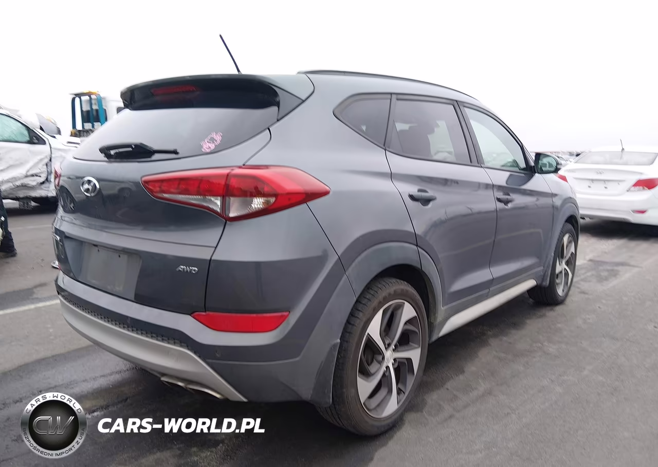 2017 Hyundai Tucson Value VIN:KM8J3CA2XHU554837 - 4