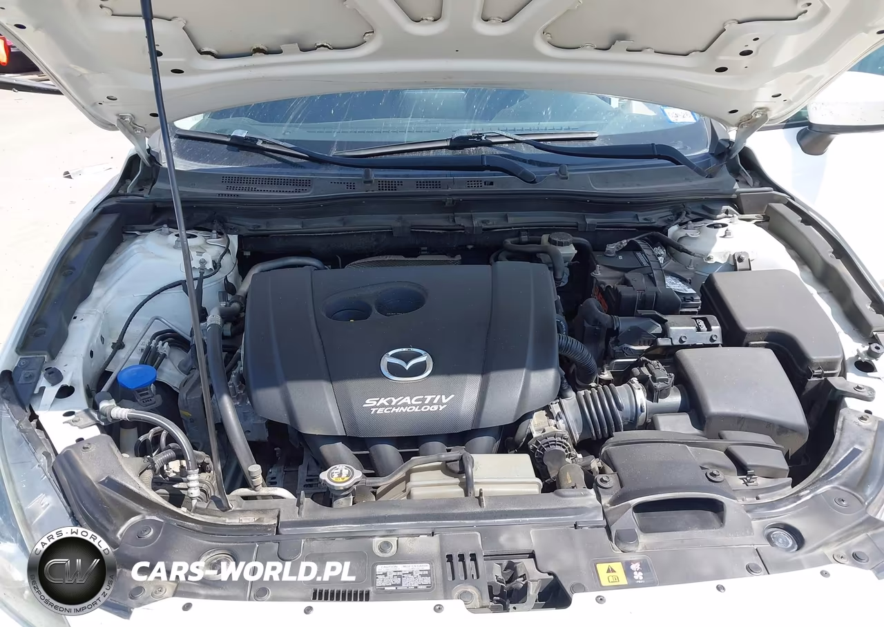 2016 Mazda Mazda3 I Sport VIN:3MZBM1J75GM256606 - 10
