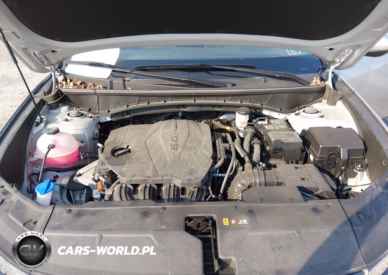 2024 Hyundai Tucson Sel VIN:5NMJBCDE2RH416957 - 10
