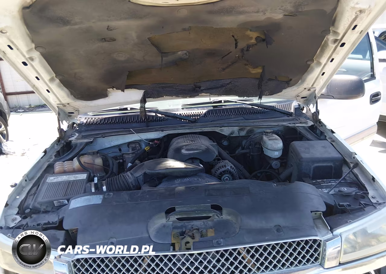 2004 Chevrolet Silverado 1500 Ls VIN:2GCEC13T141401141 - 10