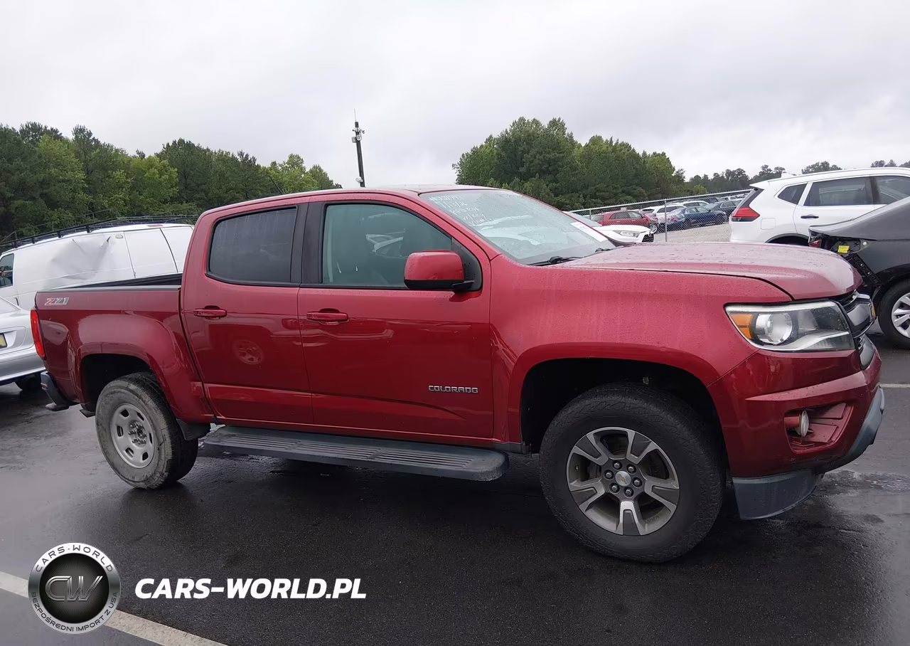 2017 Chevrolet Colorado 2Wd Z71 VIN:1GCGSDEN6H1201363 - 13