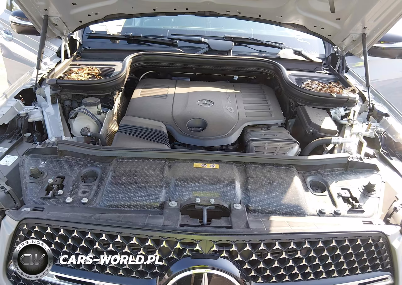 2025 Mercedes-Benz Gle 450 Coupe 4Matic VIN:4JGFD5KB4SB310052 - 10