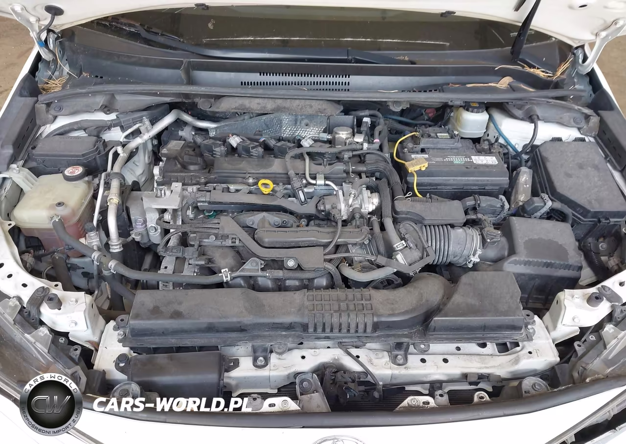 2020 Toyota Corolla Se VIN:JTDS4RCE8LJ010394 - 10