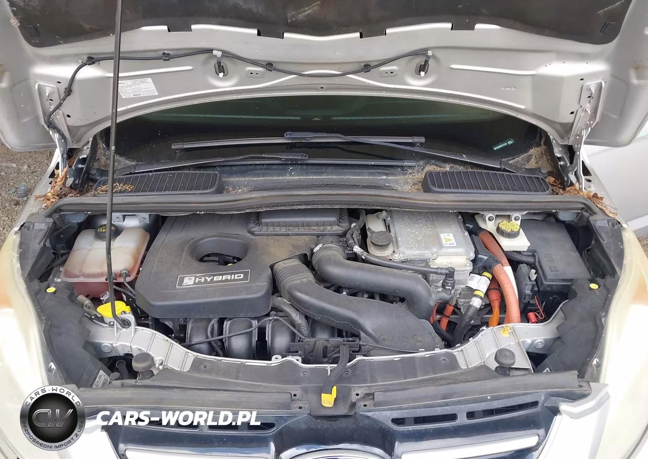 2014 Ford C-Max Hybrid Se VIN:1FADP5AU9EL517241 - 10