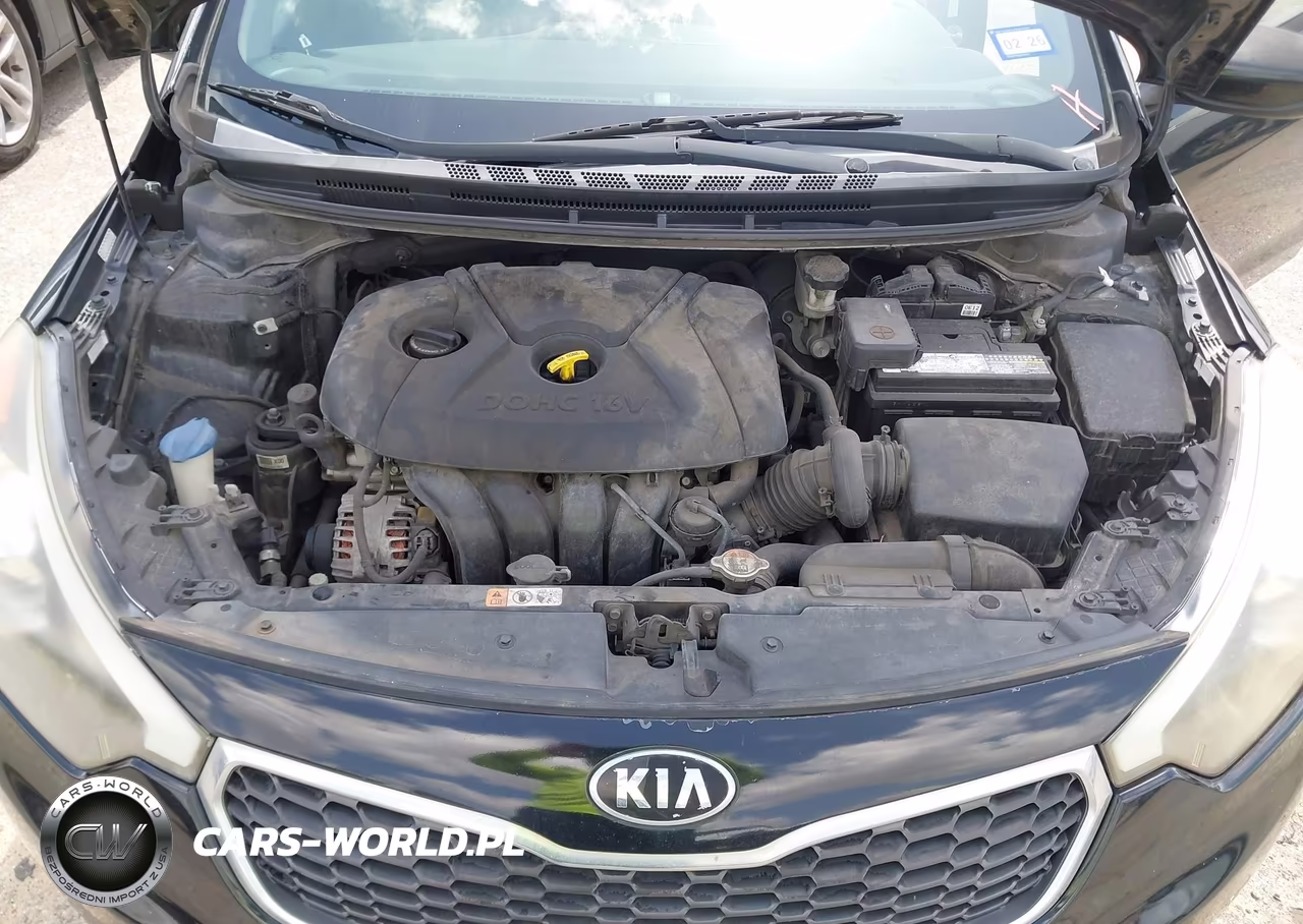 2015 Kia Forte Lx VIN:KNAFK4A66F5428940 - 10