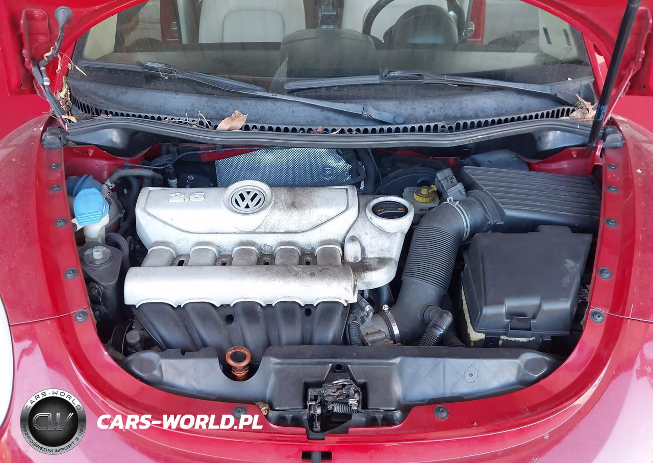 2010 Volkswagen New Beetle 2.5L VIN:3VWRG3AG8AM022985 - 10