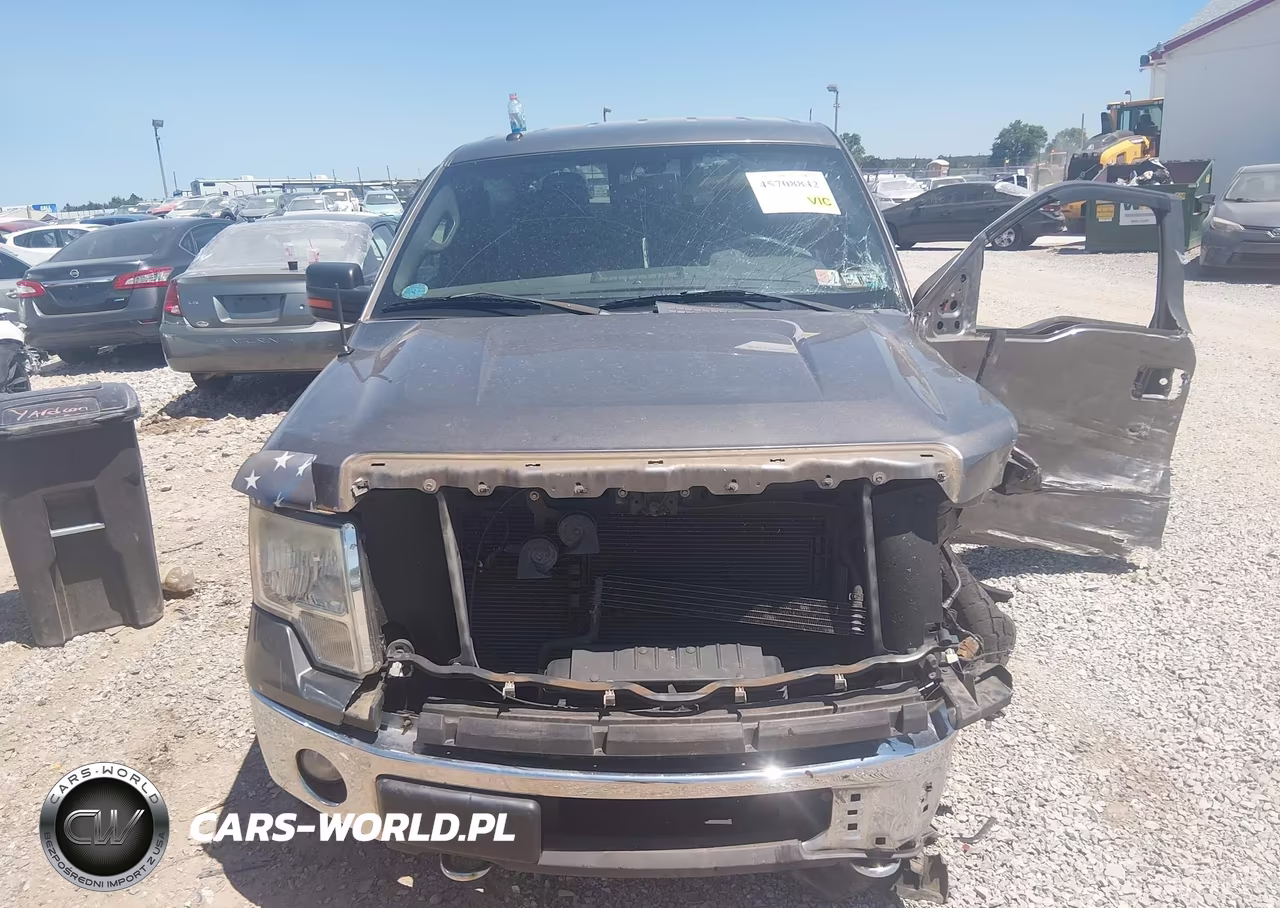 2011 Ford F-150 Xlt VIN:1FTFW1ET1BFB20049 - 12