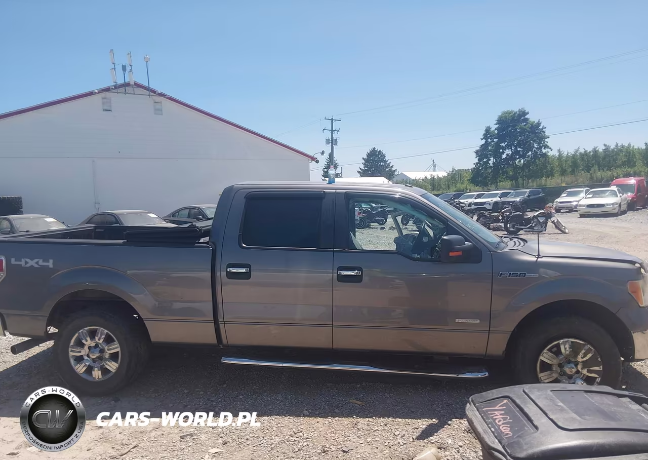 2011 Ford F-150 Xlt VIN:1FTFW1ET1BFB20049 - 13